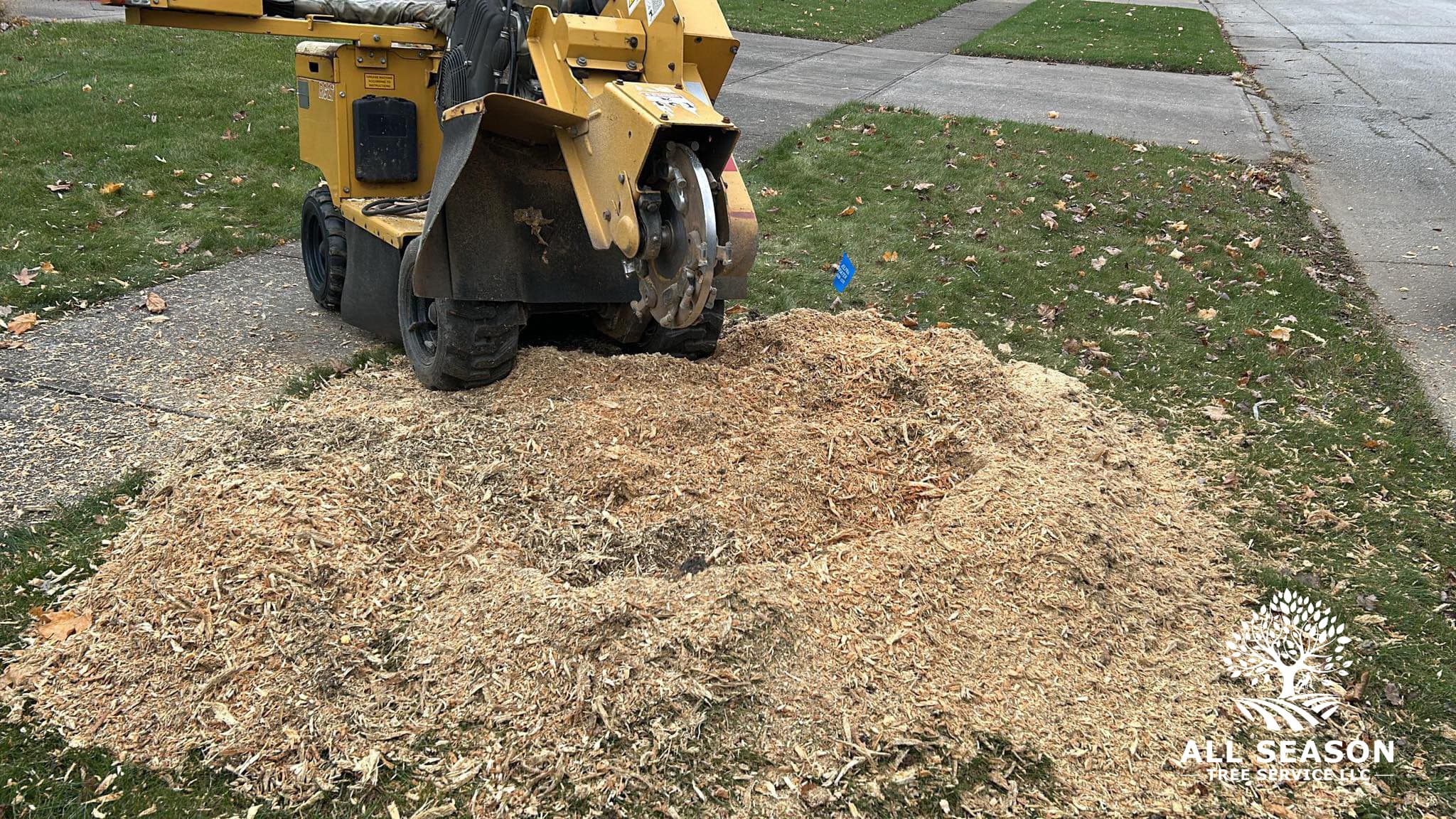 Commercial Tree Care — Independence