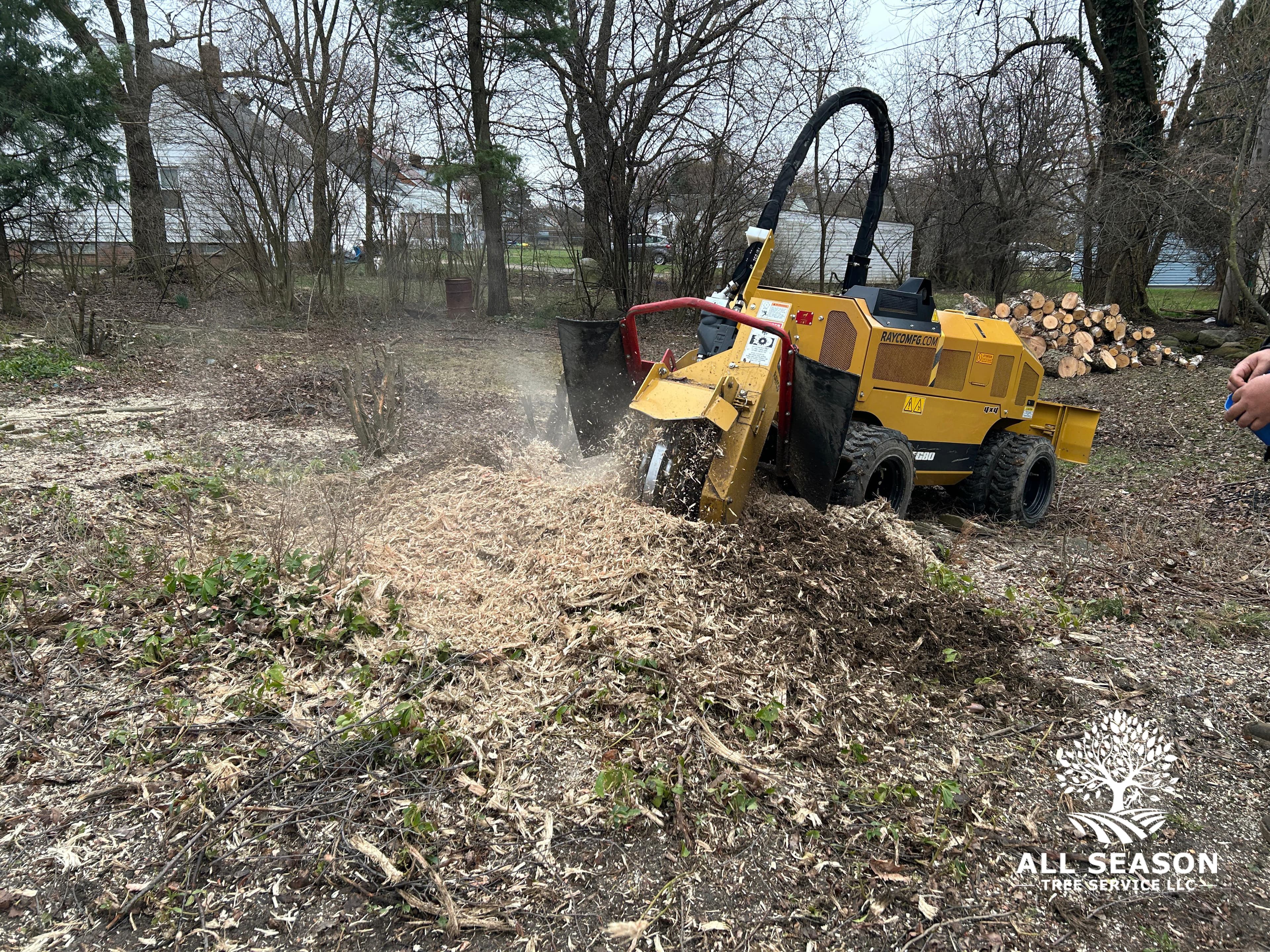 Hazardous Removal — Olmsted Falls