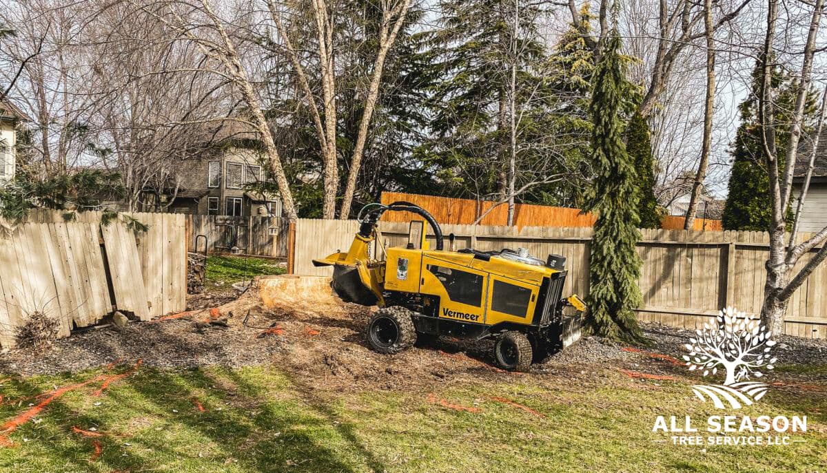 Health Pruning — Avon