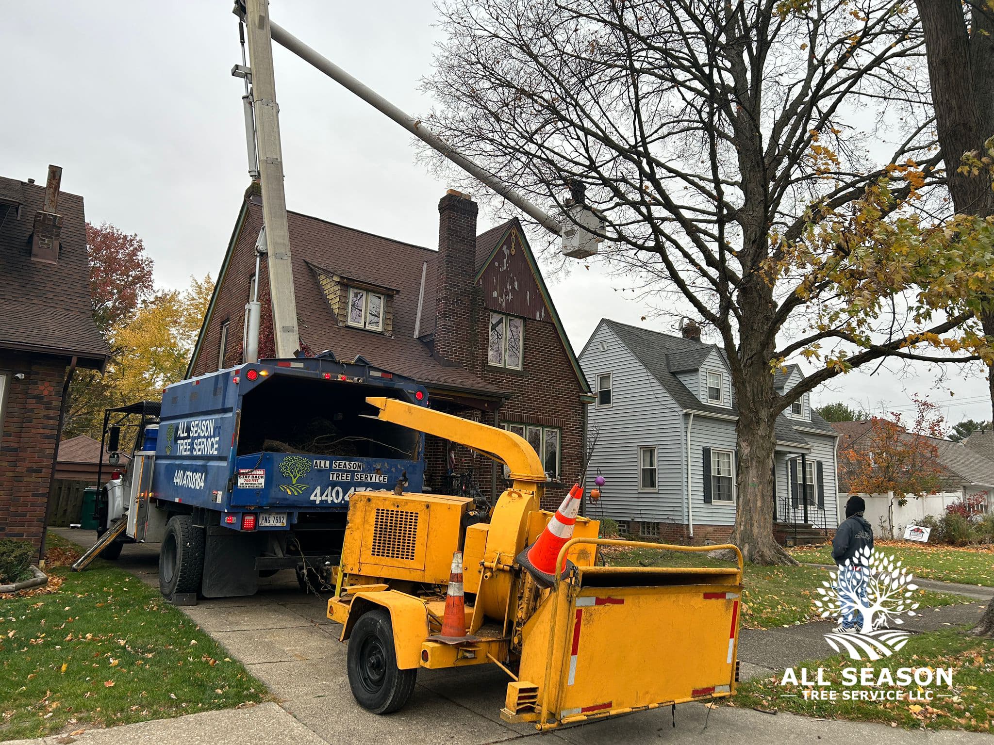Oak Removal — Shaker Heights