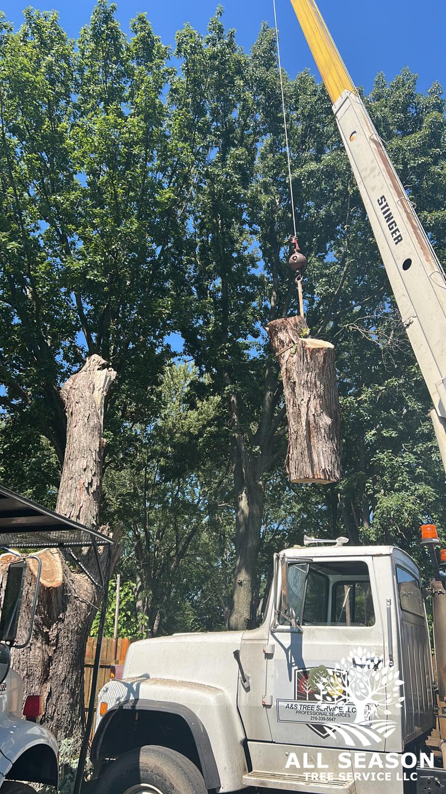 Crane-Assisted Removal