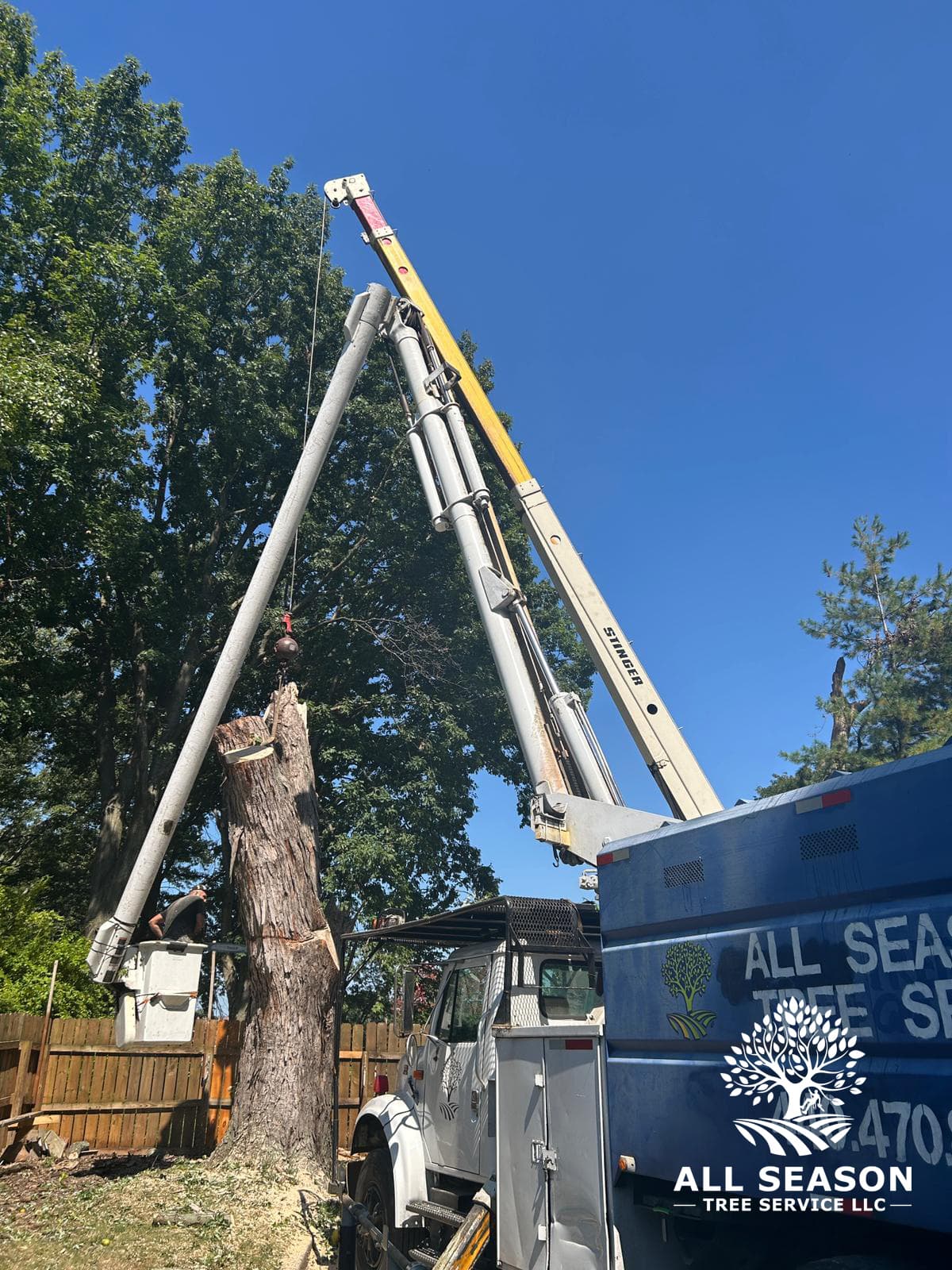 Safe Removal — Strongsville