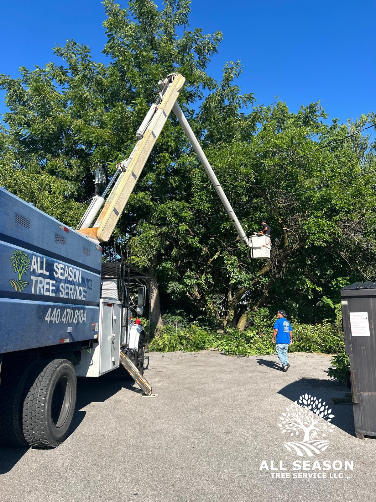 Storm Cleanup — Lakewood