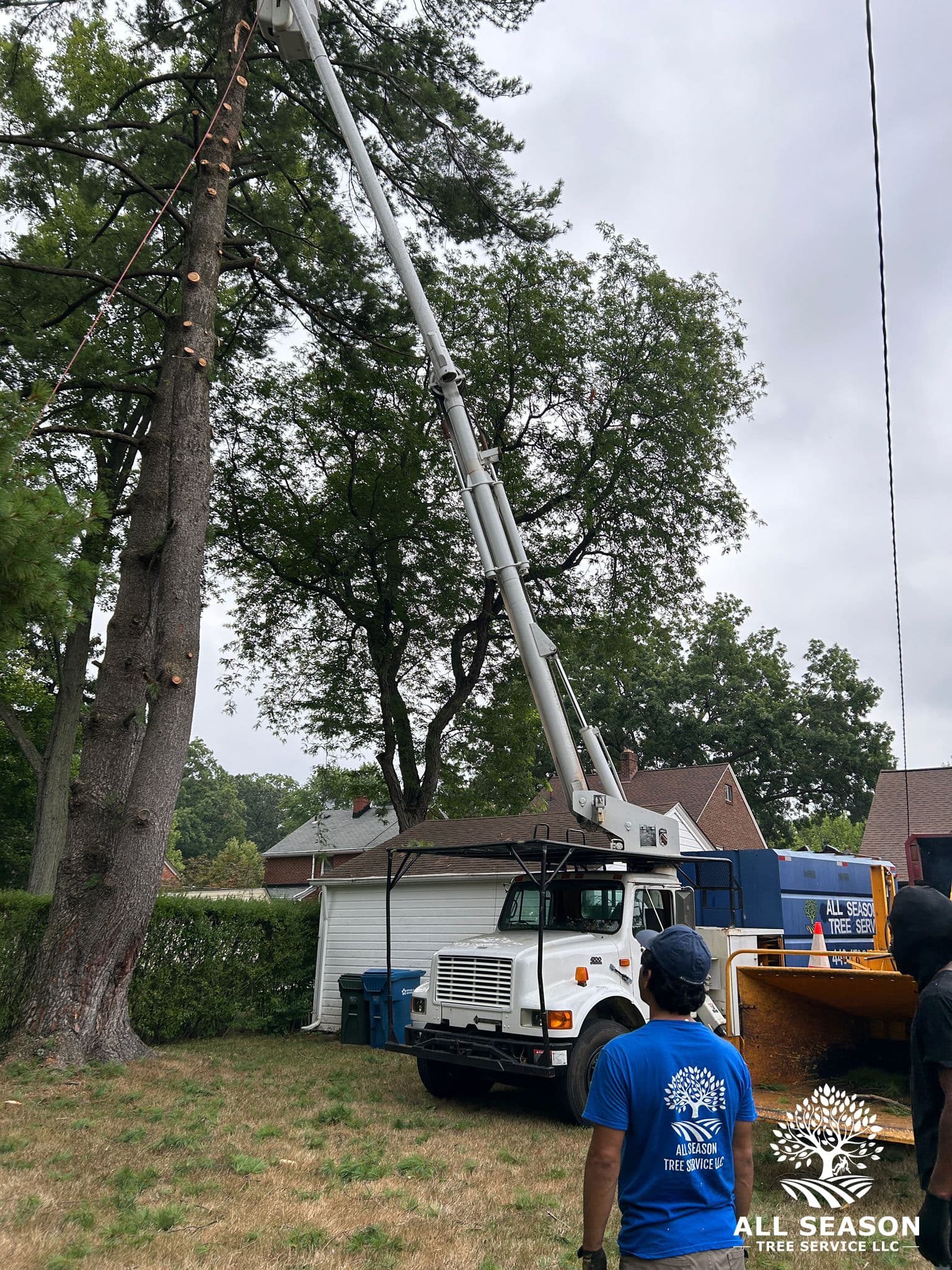 Yard Restoration — Westlake