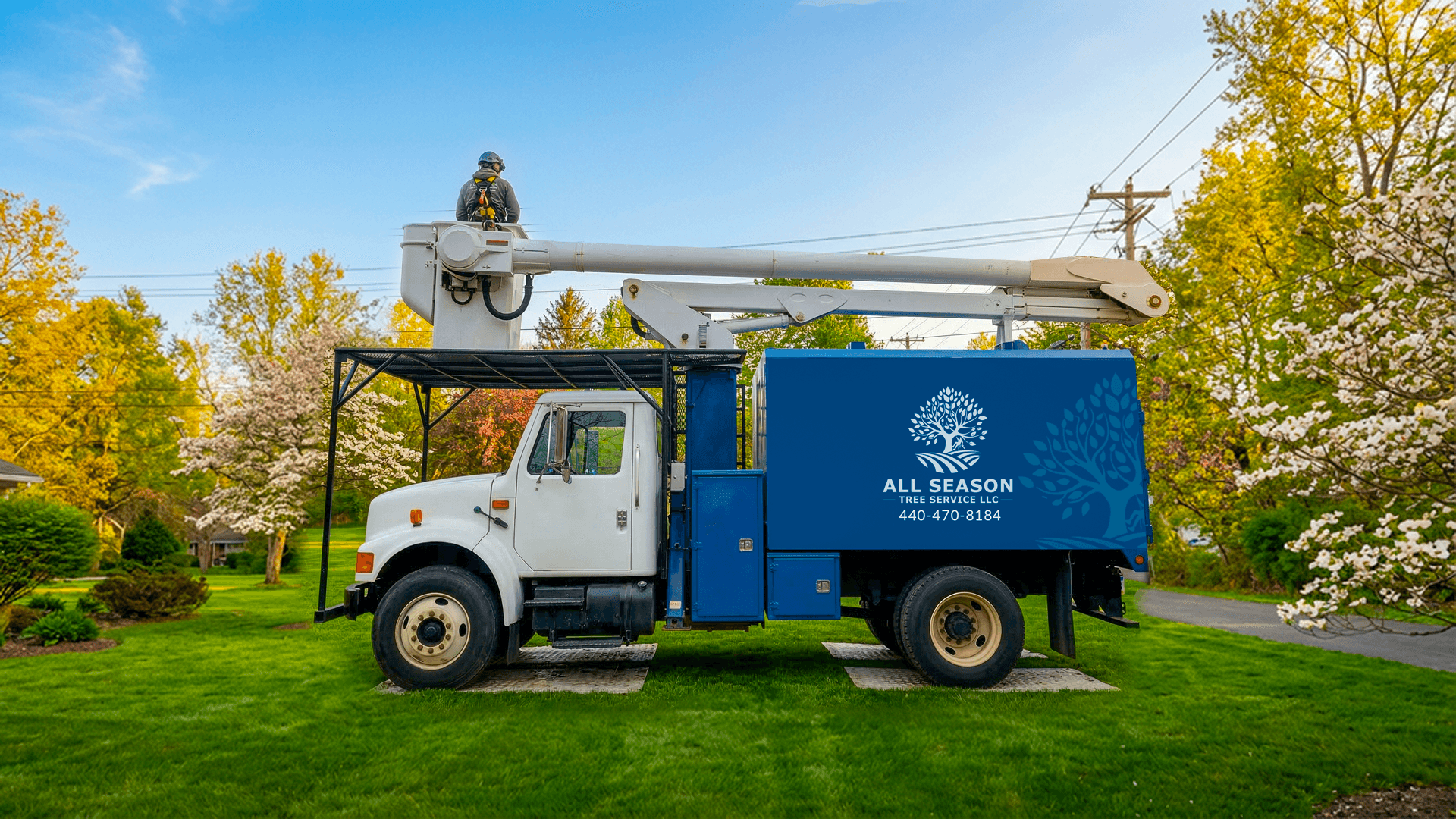 Tree Service in Cleveland Ohio