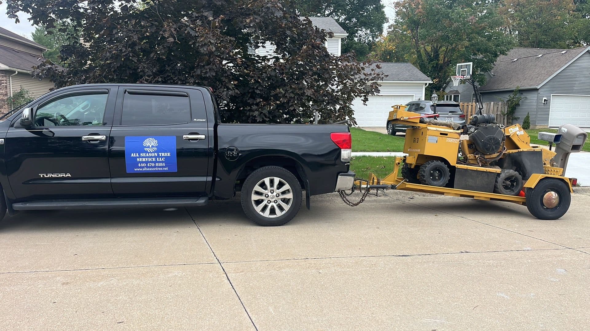 Oak Removal — West Park