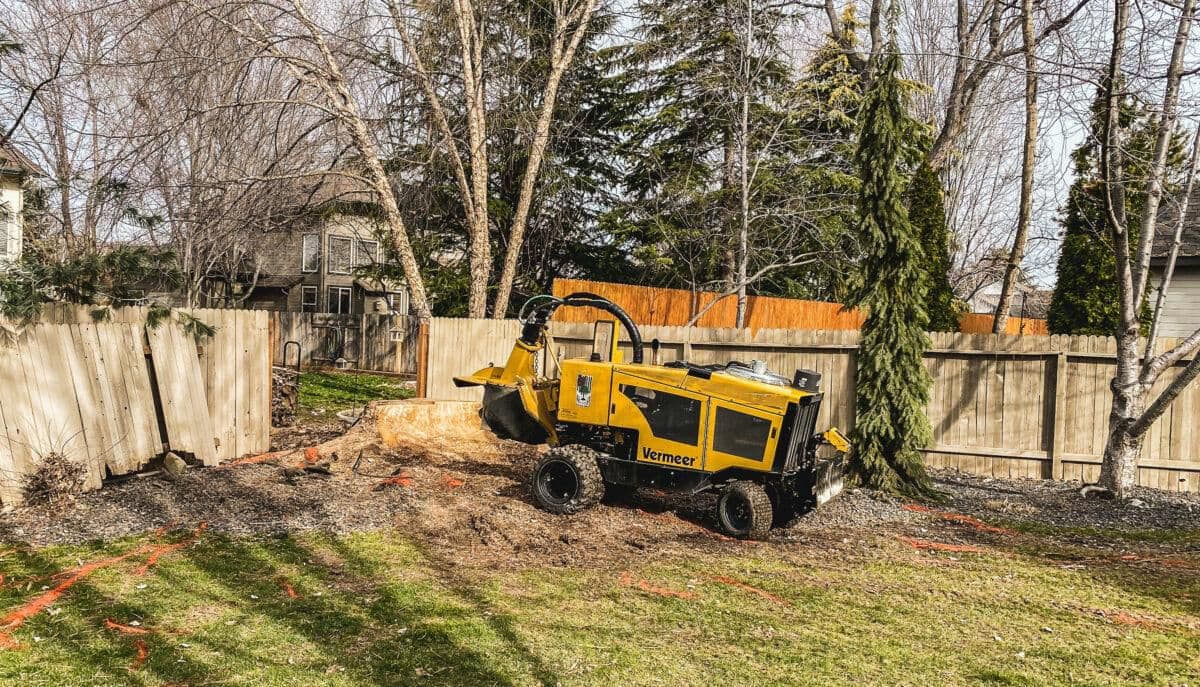 Health Pruning — Avon
