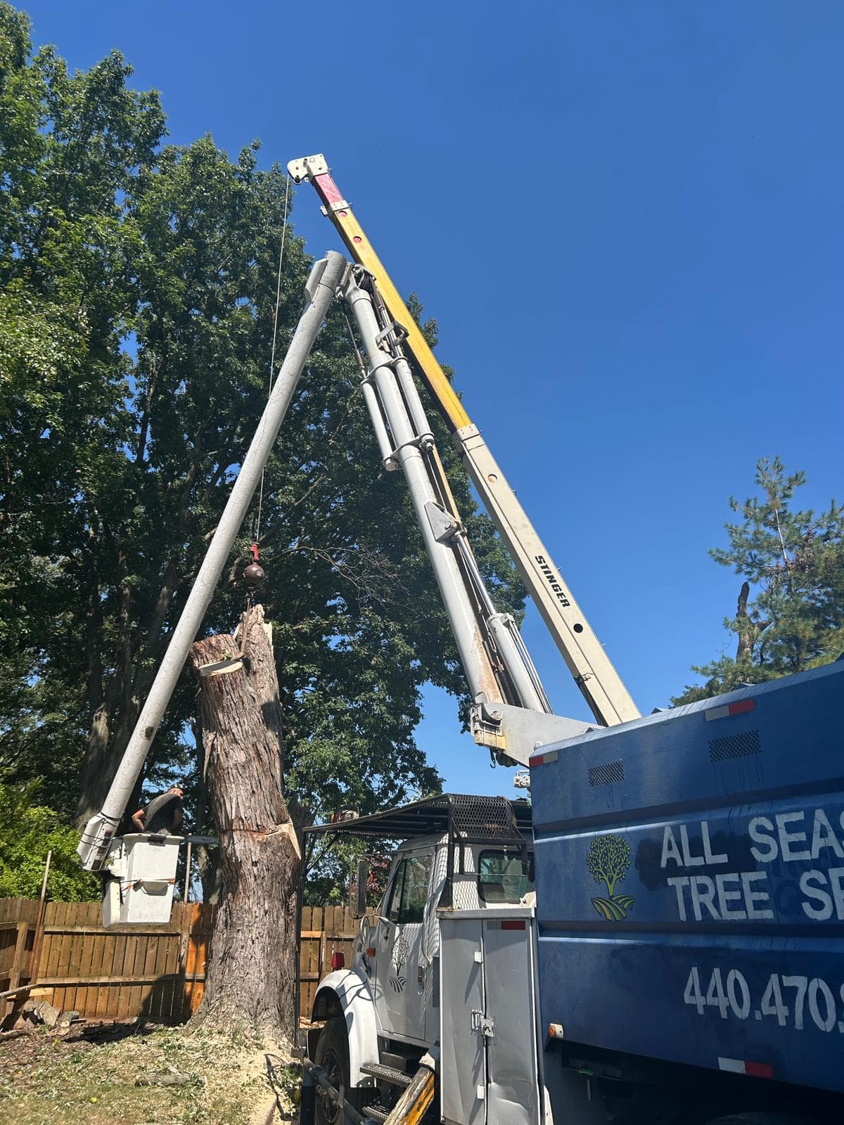 Safe Pine Extraction