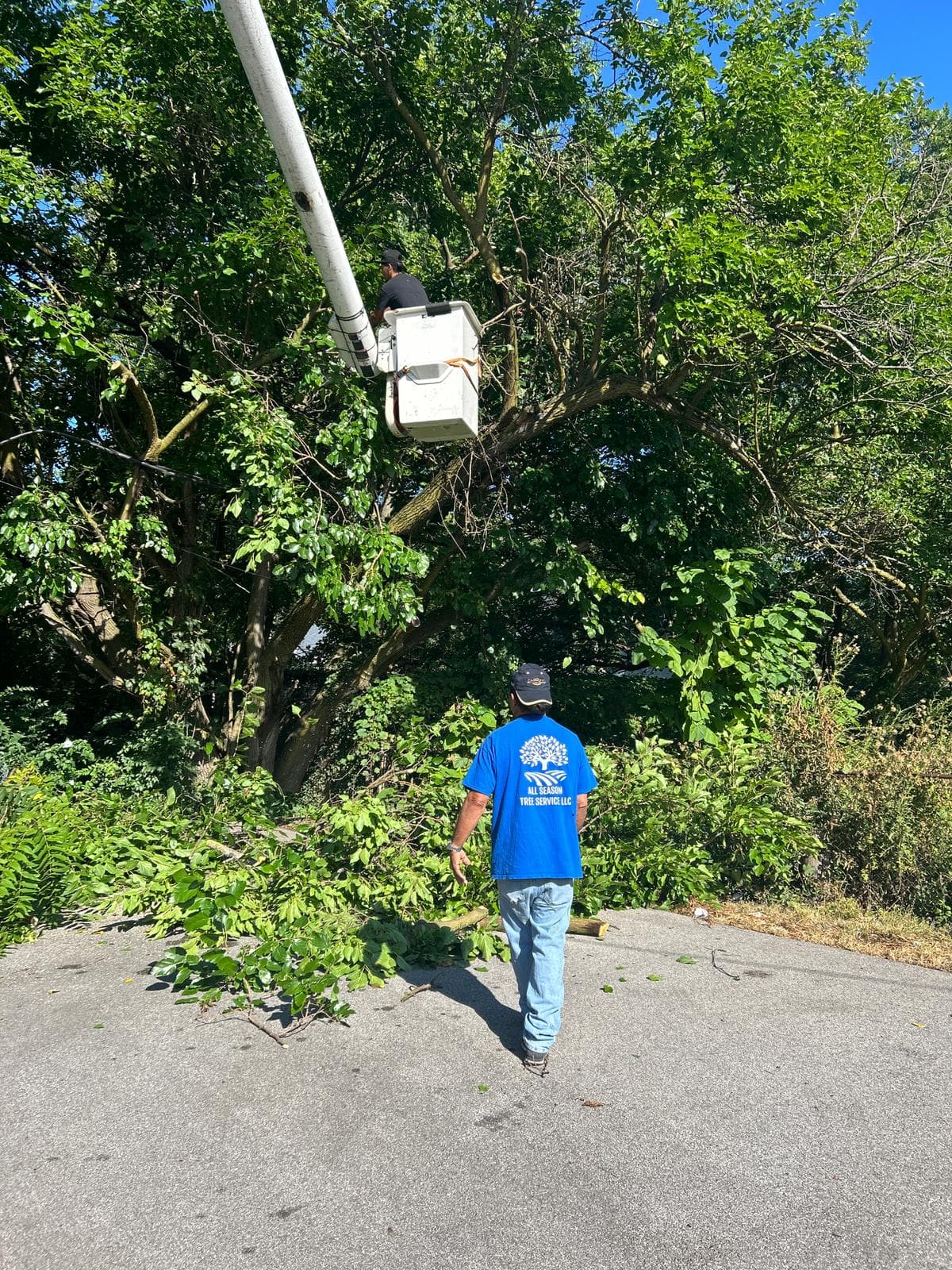Blocked Access Clearing