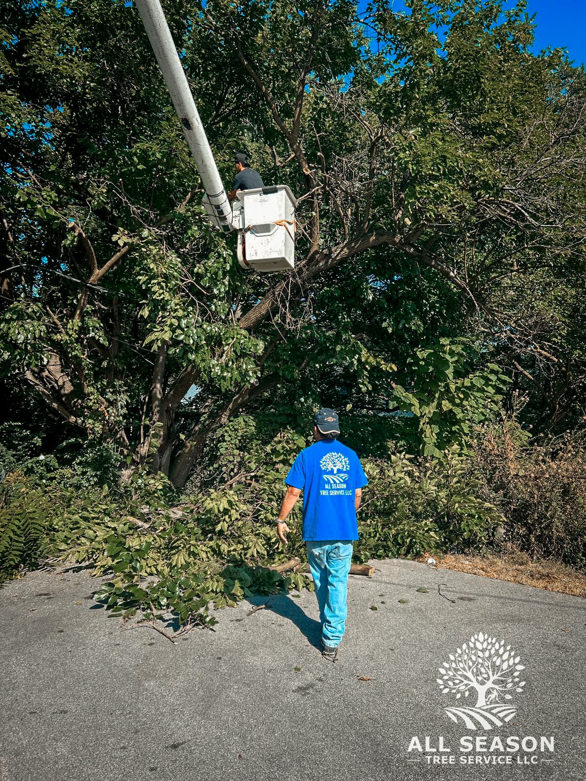 HOA Common Area Maintenance