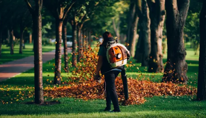 Why is tree service so expensive?